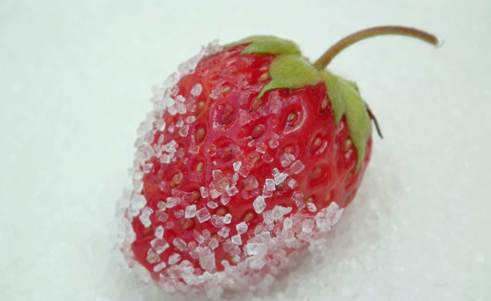 Erdbeere_Zucker