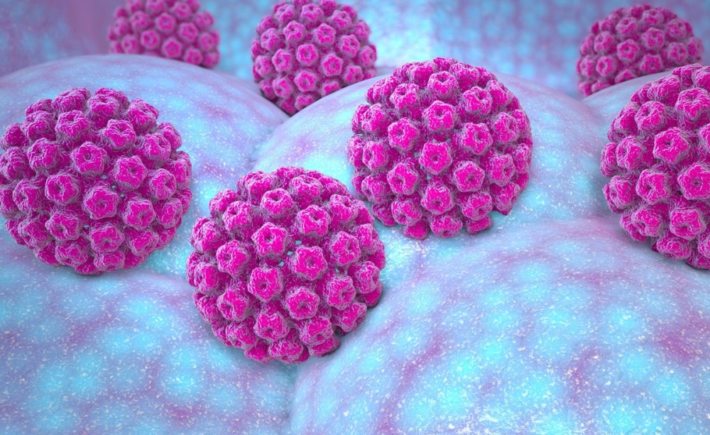 HPV Papillomaviren HPV Papillomaviren