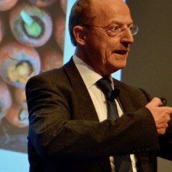 Kohl essen gegen Entzündung: Professor Ulrich Schlagenhauf (Würzburg) präsentierte Daten, die für einen signifikanten entzündungshemmenden Effekt von Nitrat sprechen.