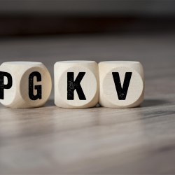 Würfel mit PKV und GKV 