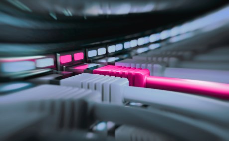 Ein Bild das einen pink-roten LAN-Steckanschluss unter lauter grauen zeigt 