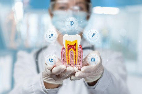 Ein Bild, das einen digitalen Schnitt durch einen Zahn zeigt. Im Hintergrund ein weiß gekleideter Mensch mit medizinischer Maske, dessen Hände das Zahnmodell halten