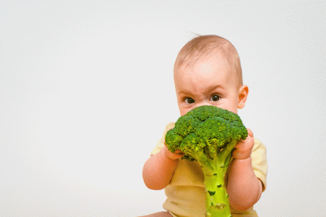 Kleindkind hält sich Brokkoli vor das Gesicht - Präventsionsprogramm für gesunde Ernährung von Anfang an