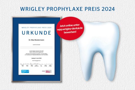 Wrigley-Prophylaxe-Preis 2024