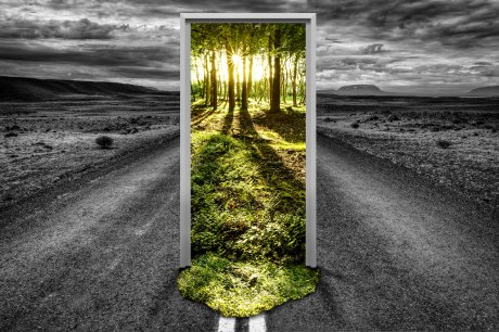 Portal mit Aussicht auf einen grünen lichten Wald im Sonnenaufgan auf der Straße in einer grauen, kargen Landschaft