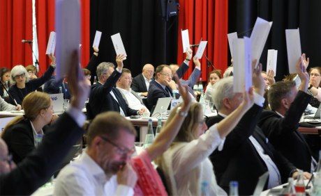 Viele Menschen in einem Auditorium, einige halten (Stimm-)Zettel in die Höhe