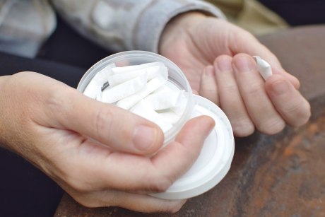 Hand hält eine Schale mit kleinen, weißen, länglichen Beuteln 