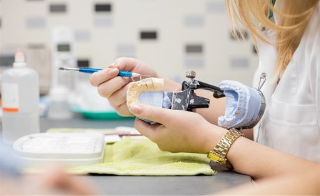 junge Frau arbeitet an einem Zahnmodell
